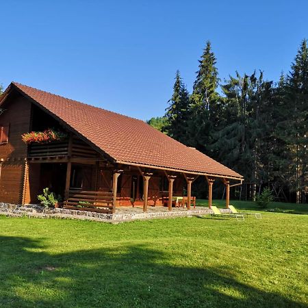 Casa De Vacanta Dintre Brazi Topliţa Buitenkant foto