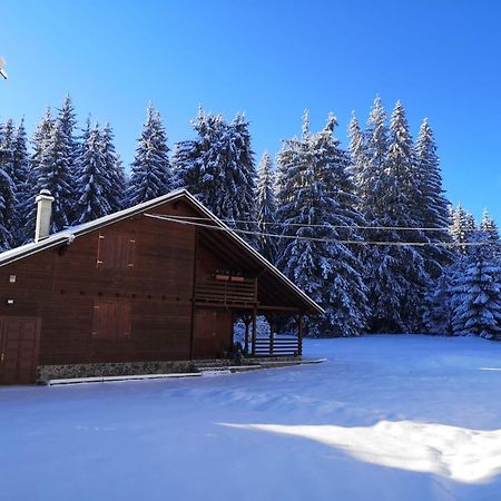 Casa De Vacanta Dintre Brazi Topliţa Buitenkant foto