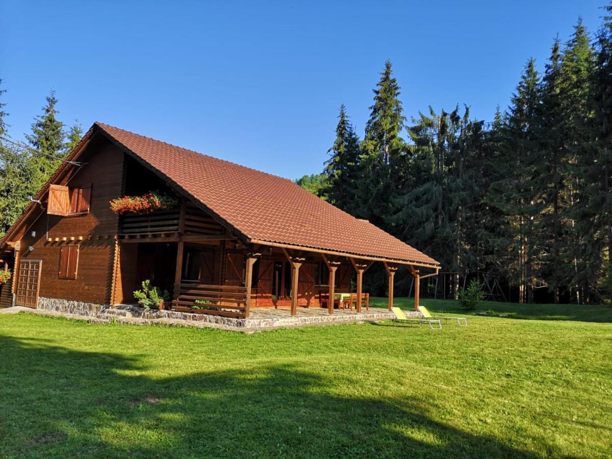 Casa De Vacanta Dintre Brazi Topliţa Buitenkant foto