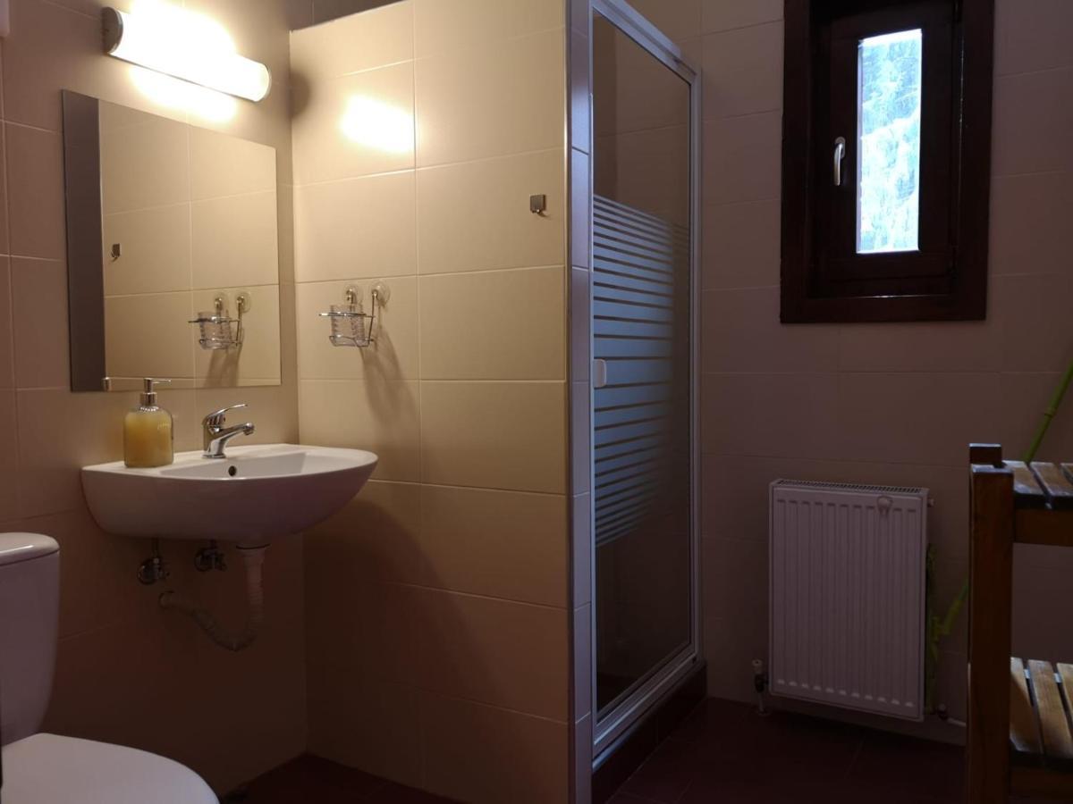 Casa De Vacanta Dintre Brazi Topliţa Buitenkant foto