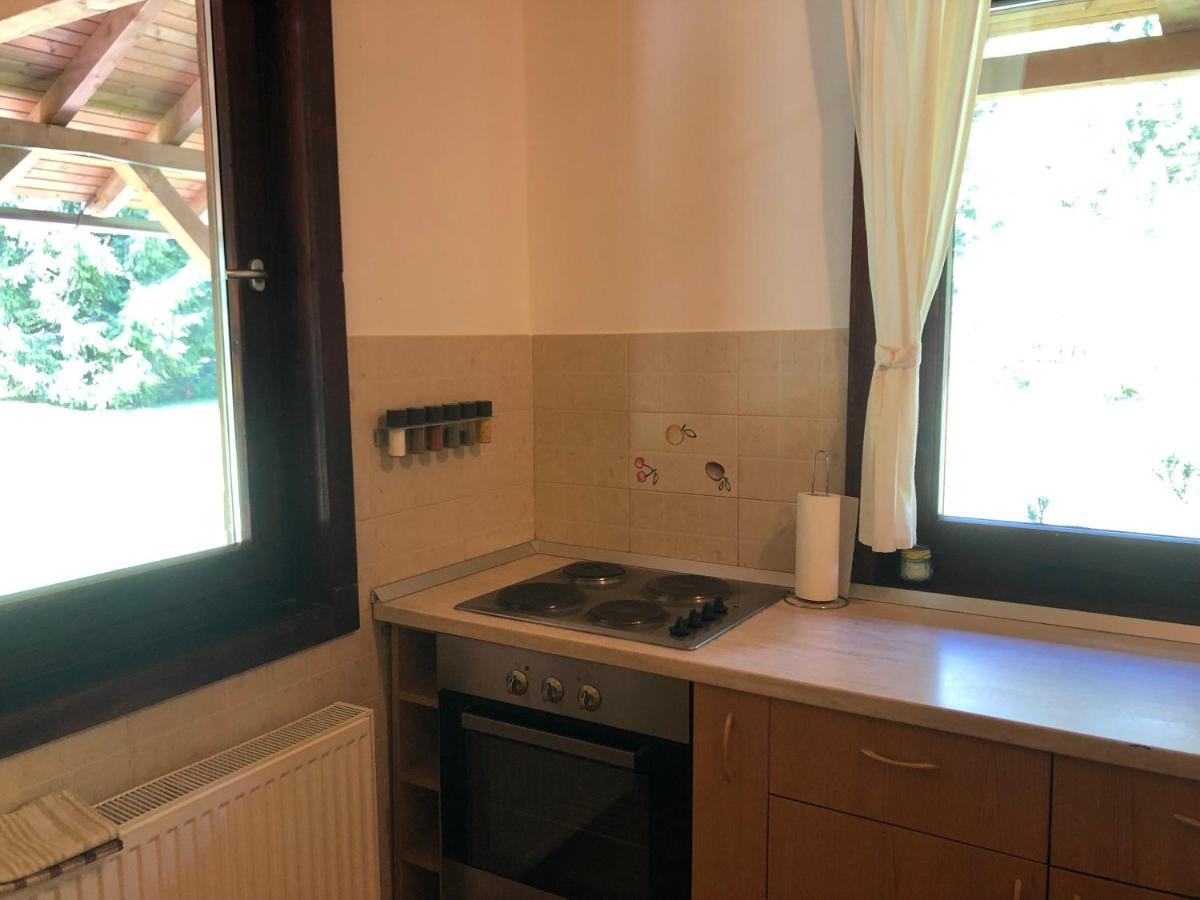 Casa De Vacanta Dintre Brazi Topliţa Buitenkant foto