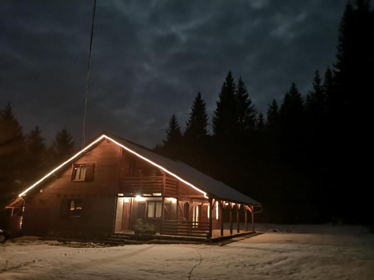 Casa De Vacanta Dintre Brazi Topliţa Buitenkant foto