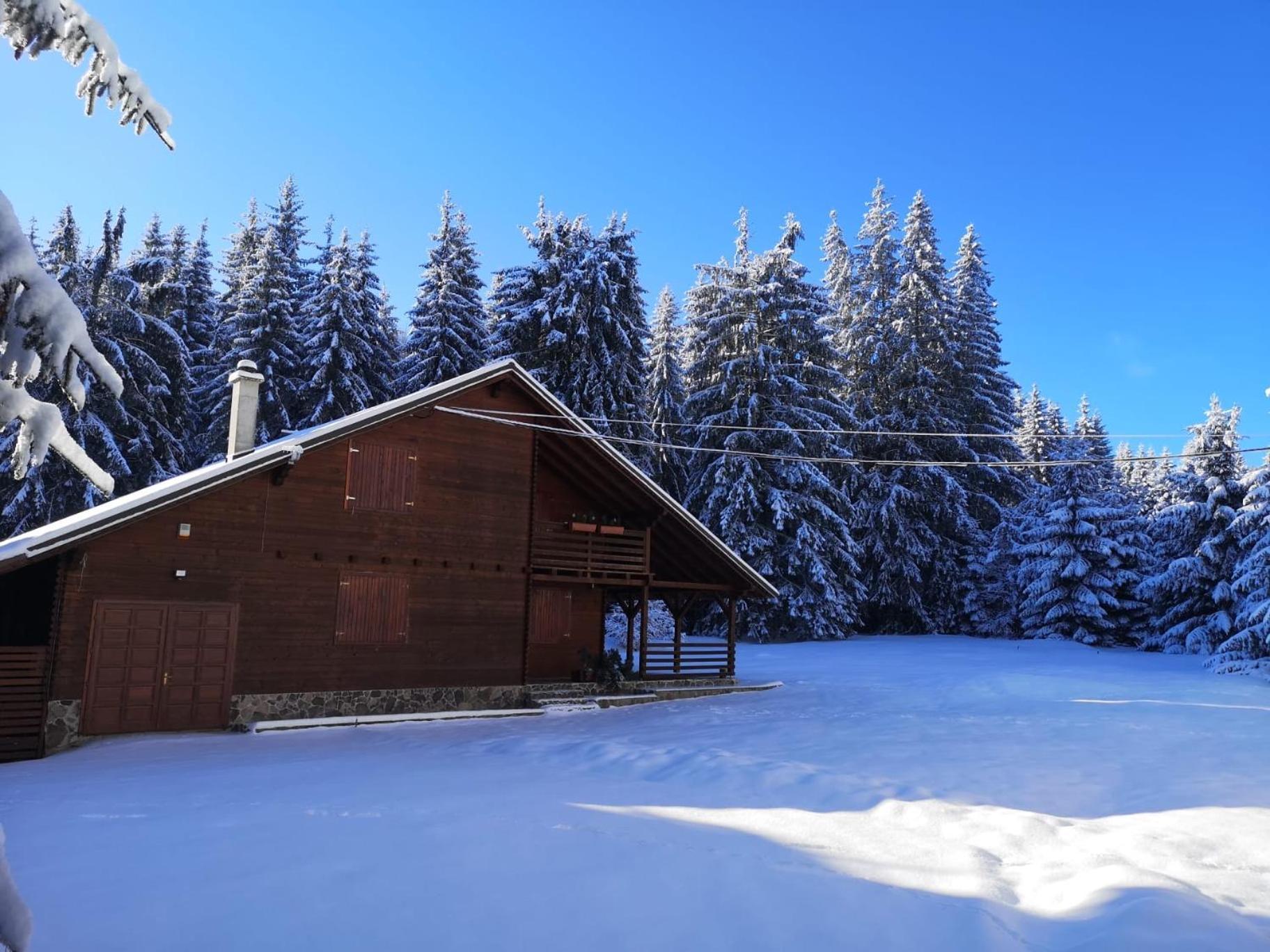Casa De Vacanta Dintre Brazi Topliţa Buitenkant foto