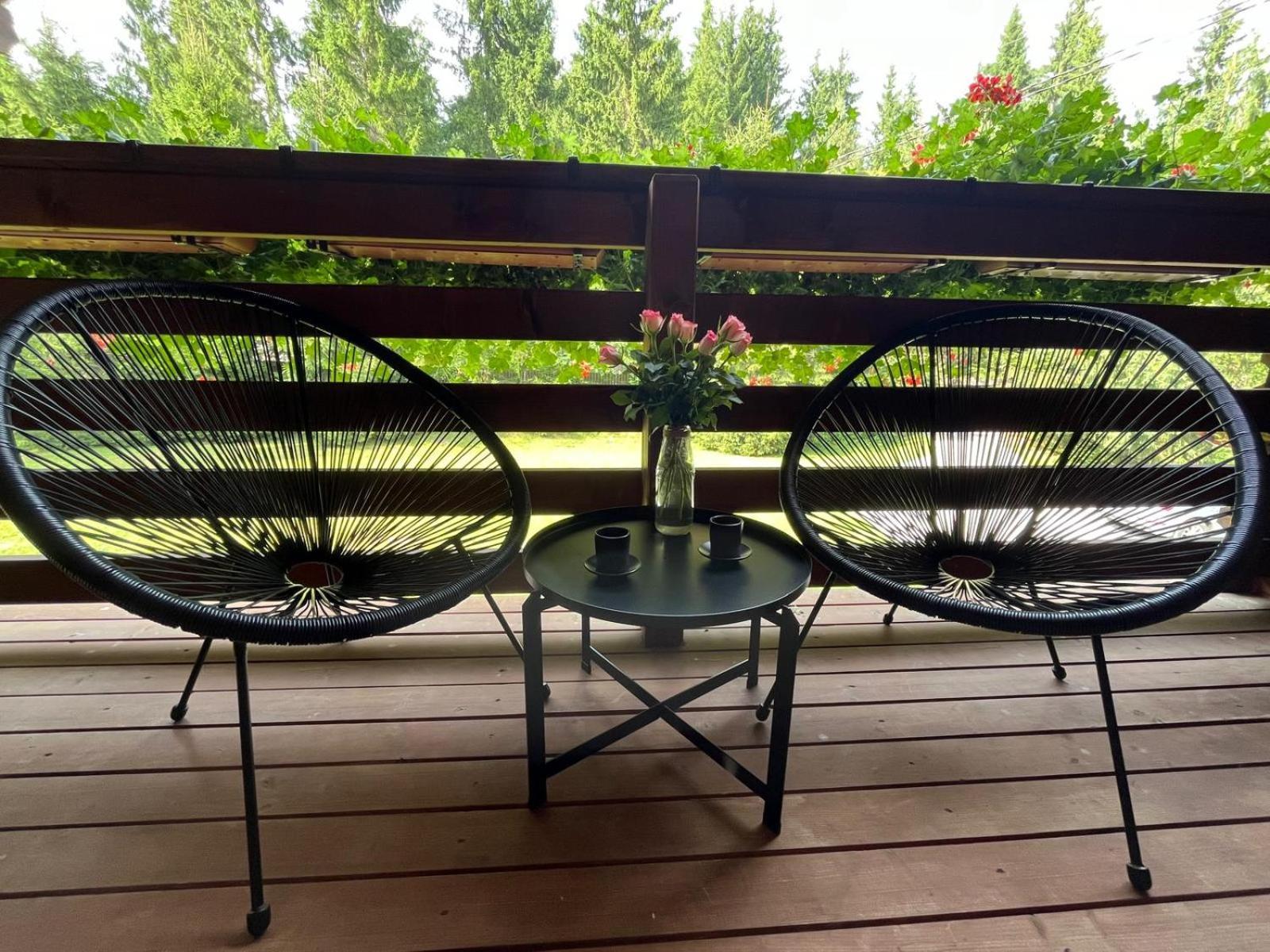 Casa De Vacanta Dintre Brazi Topliţa Buitenkant foto