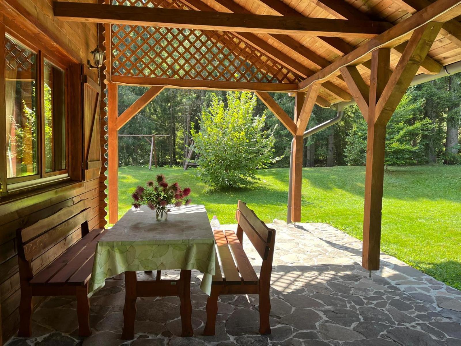 Casa De Vacanta Dintre Brazi Topliţa Buitenkant foto